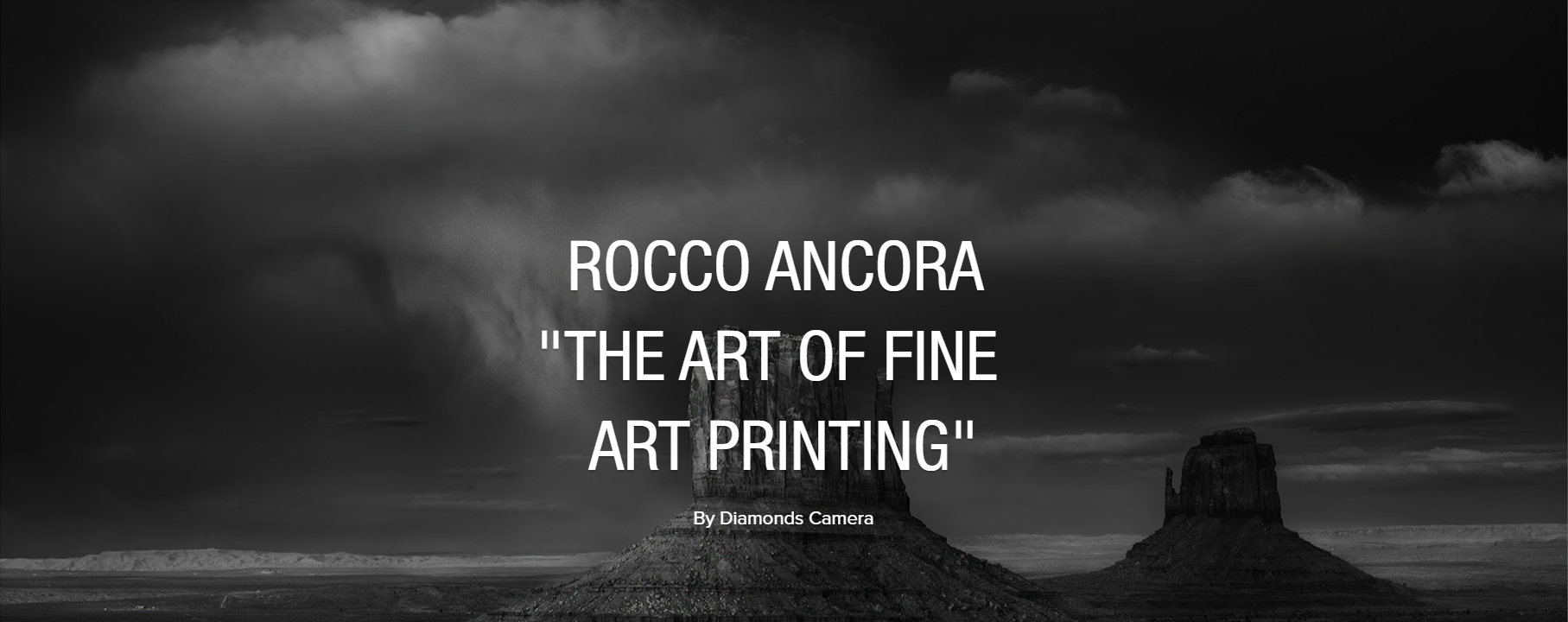 Introducing: Rocco Ancora